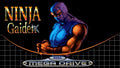 Ninja Gaiden Sega Genesis Mega Drive Video Game Cartridge 1992