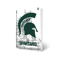 Michigan State PS5 VarsityWrapz