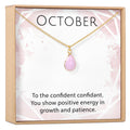 October Birthstone / Pink Tourmaline Crystal Charm Necklace