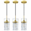 SEENMING HOUSE 3 Pack Kitchen Island Pendant Light Clear Glass Bronze Finish