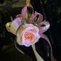 BAEKZ 1in Black Satin Ribbon Gold Edged 50 Yd Roll Flower Gift Decor