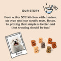 BestBy01/25 Bocce's Bakery Good Hair Dog Treats Salmon 6oz Soft Chewy Wheat-Free