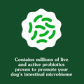 BestBy01/25 Greenies Digestive Health Probiotics DogTreats Chicken 7.8oz 40ct