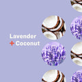 Everyone Liquid Hand Soap Lavender Coconut Plant-Based Cleanser 12.75oz New