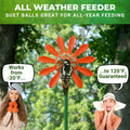 Nature Anywhere Fun Flowers Suet Feeder 3 Pack Outdoor Hanging Bird Feeder