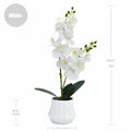 Angerlo 13" White Artificial Butterfly Orchid Ceramic Vase Decor