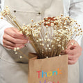 Dried Daisy Flowers Brazilian Small Star Mini Chamomile White Wedding Decor