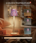 Faithorse Cordless Table Lamp Oil Painting Series Dimmable Pink 5200mAh