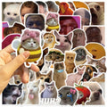 50PCS Funny Meme Vinyl Waterproof Stickers for Water Bottles Laptop Computer