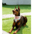 Big Brother Bandana Dog Birthday Double Layer Fabric Blue X-Large Size XL