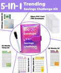 100 Envelope Challenge Binder 5-in-1 Budget Planner Shining Silver