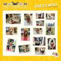 2 Pack Fall Dog Bandanas – Birthday Pet Scarf for Dogs & Cats, Orange L