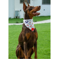 2 Pack Dog Bandanas – White Cute Birthday Pet Scarf for Dogs & Cats, XL