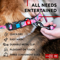 WAUDOG Nylon Dog Leash Heavy Duty 4 Ft for Small & Medium Dogs