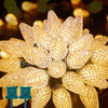 Brightown C9 LED Christmas String Lights 33ft 50 LED Warm White 2 Pack