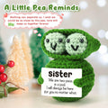 LEJIAJINW Handmade Mini Peas Gift for Sister Best Friend Cute Valentine