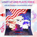 Yinqing 3D Pop Up Birthday Card with Light and Music Multicolor