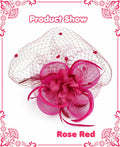 Kidukso Fascinators Hat Vintage 1923s Derby Mesh Veil Feathers Rose Red