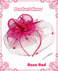 Kidukso Fascinators Hat Vintage 1923s Derby Mesh Veil Feathers Rose Red