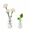 Hewory Glass Bubble Bud Vase Small Clear Glass Flower Vase for Single Stem