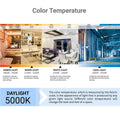 Sunlite LED A15 Refrigerator Bulb 6W 450 Lumens E26 Dimmable Frosted 5000K 1Pack