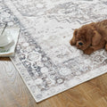 jinchan Area Rug 4x6 Washable Vintage Floral Non Slip Indoor Greige