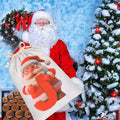 CCINEE Canvas Santa Sack Personalized Letter J Drawstring Red 27x20in