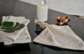 Yourtablecloth Chambray Cloth Napkins Set of 6 Natural 20x20