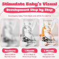 Lalala Baby Black White Sensory Toy with Mirror High Contrast Board Book