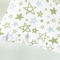 CaliTime Throw Pillow Covers Pack of 2 Cozy Fleece Stars 18x18in Sage Green