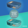 Sistema PDQ Ribbon Lunch To Go 1.1L Container BPA Free