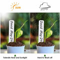 [Like_new] meumtuu 200 PCS White Plastic Plant Labels Garden Markers PVC PVCPL-200W