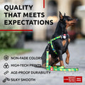 WAUDOG Nylon Dog Leash Heavy Duty 4 Ft for Small Medium Large Dogs