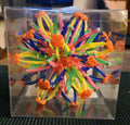Open Box. ToyPlanet Retract-O Ball Collapsible Multi-Color Plastic Fidget Toy