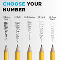 Ticonderoga Wood-Cased Pencils Unsharpened 2 HB Soft Yellow 12 Count