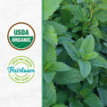 Wellness Grow Kit Lemon Balm Herb Plant Grow Kit 0.75lb Package