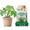 [Like New] Back to the Roots Organic Plantable Seed Starting Pots 4.25" Wide Brown 8 Ct