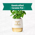 Wellness Grow Kit Basil Indoor Herb Garden Hydroponic System 0.76lb