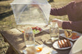 Alysontech Mesh Outdoor Food Cover Tents 6 Pack White Collapsible Pop Up