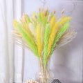 CeiooCei Colorful Pampas Grass Decor 17" White Yellow Light Green Dried