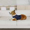 MCHY Dog Anxiety Vest, Anxiety Relief for Dogs, Dog Calming Coat (Navy M)