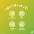 GE LED Globe Light Bulbs 4W 40W Equivalent Soft White Frosted Candelabra 2 Pack
