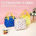 TuErCao Pineapple Insulated Lunch Box Small Portable Lightweight Nylon