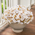 HyeFlora Fake Mums Artificial Fall Flowers 12 Bundles White Silk Morning Glory