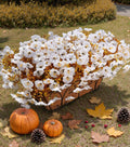 HyeFlora Fake Mums Artificial Fall Flowers 12 Bundles White Silk Morning Glory