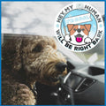 Generic I'M COOL Car Sign Pet Safety Alert Vinyl White/Blue Auto Accessory