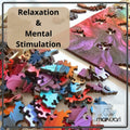 MAKUARI Wooden Puzzle 200 Pieces Rainbow Feathers Colorful Jigsaw Game