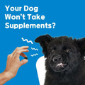 BestBy01/26 NeLM Dog Vitamins Multivitamin Eye Hip Joint Gut Dental 30 Strips