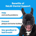 BestBy01/26 NeLM Dog Vitamins Multivitamin Eye Hip Joint Gut Dental 30 Strips