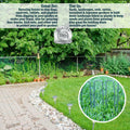 The 5 Star Collection 100 Galvanized Landscape Staples Heavy Duty Garden Stakes